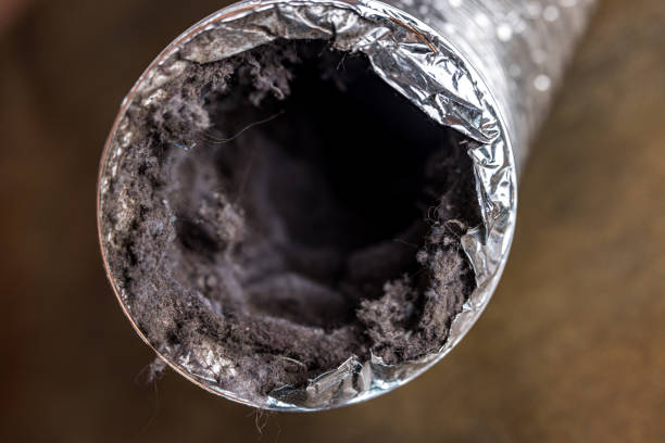 Best Professional Duct Cleaning Services  in Wales, WI